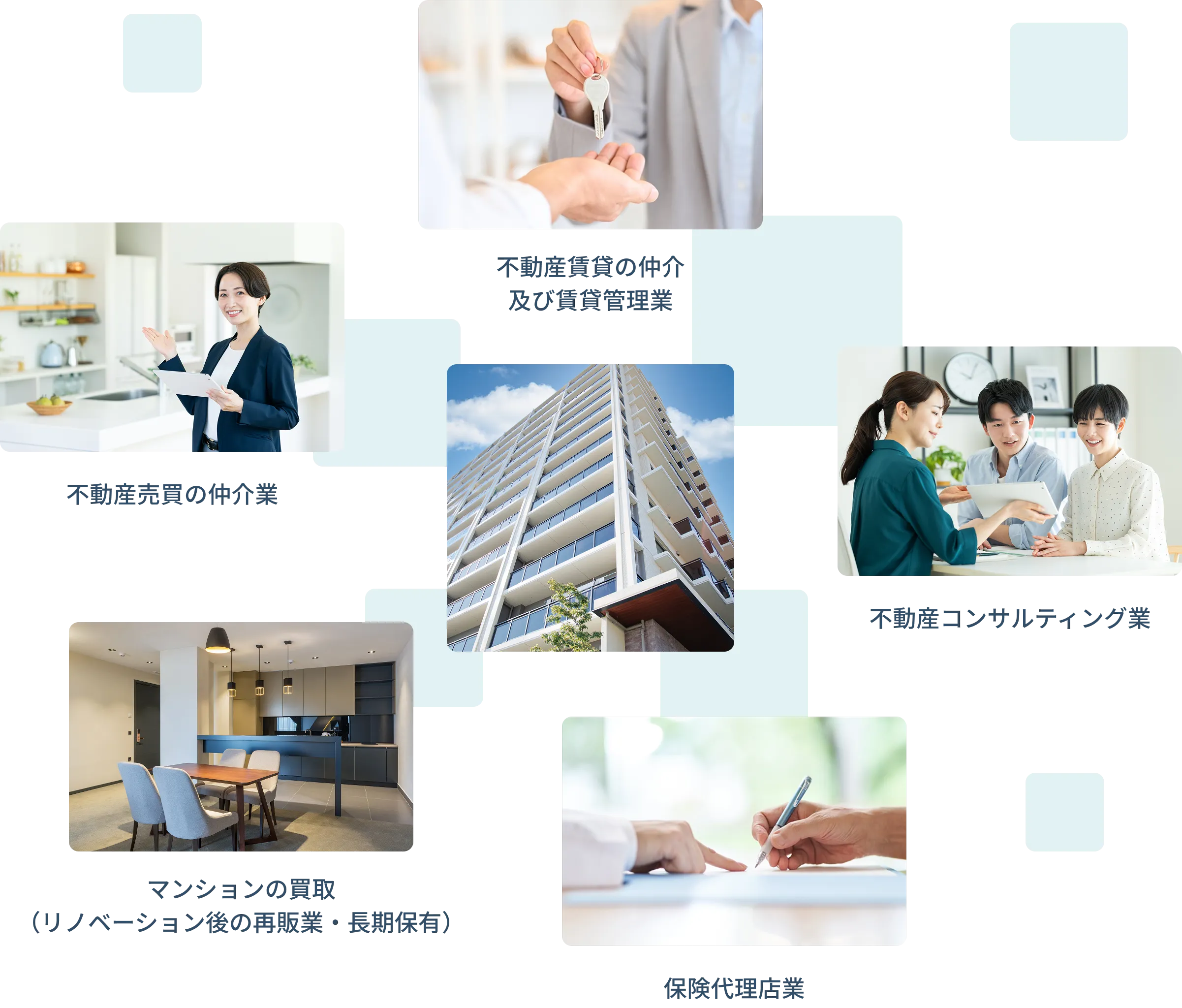 不動産賃貸の仲介及び賃貸管理業・不動産コンサルティング業・不動産コンサルティング業・マンションの買取（リノベーション後の再販業）・不動産売買の仲介業