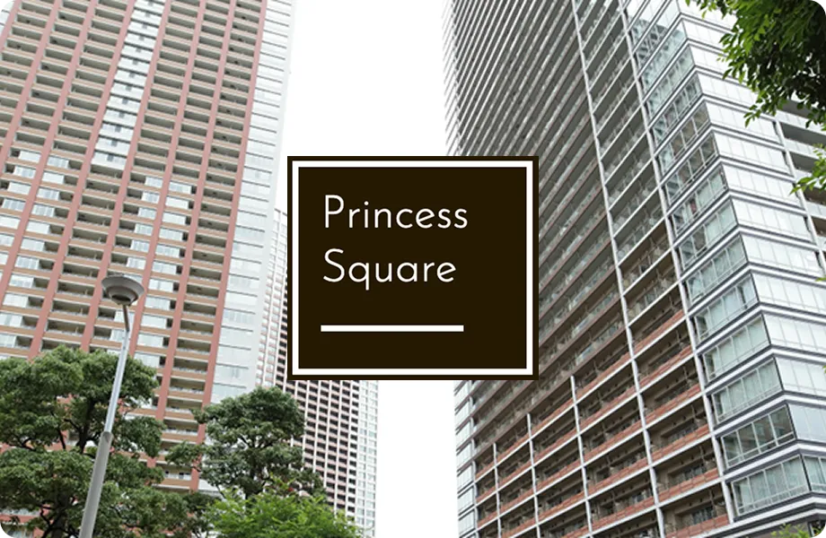  PRINCESS SQUARE for Towers